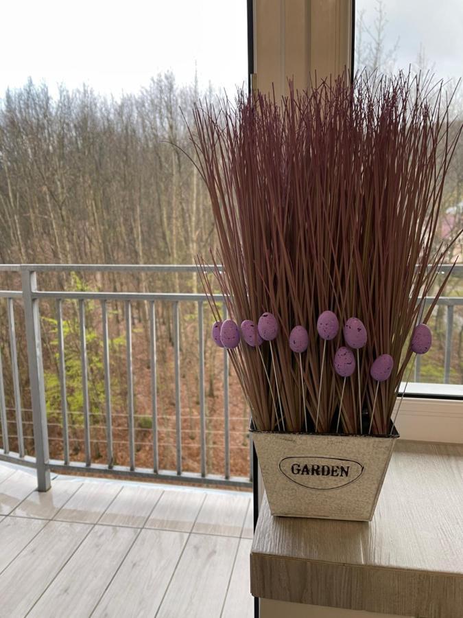 Апартаменты Luxury Lavander Polyana  Ngoại thất bức ảnh